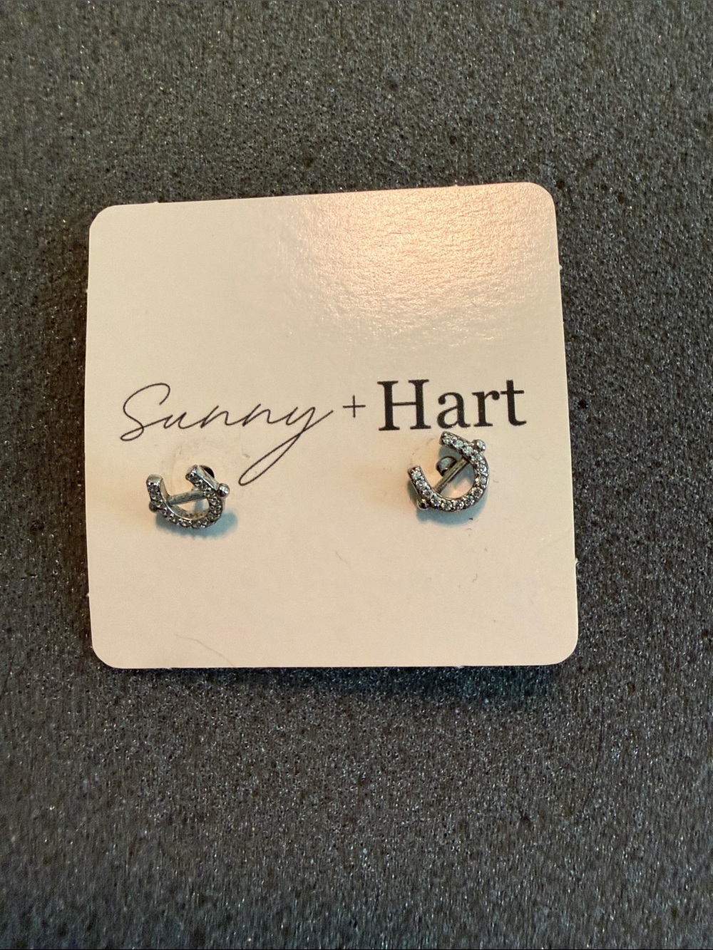 Horseshoe Earrings